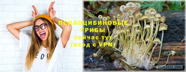 синтетический гашиш Бородино