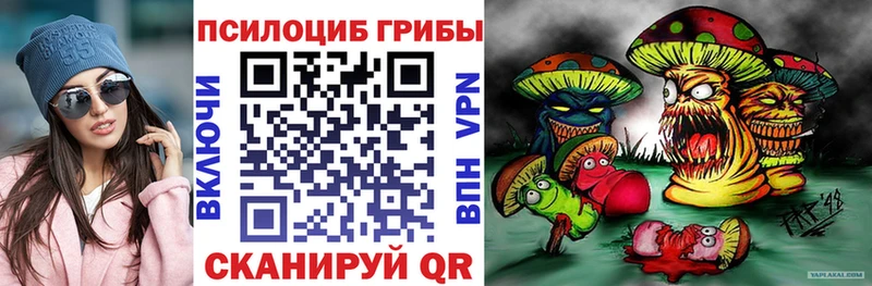 наркота  Яхрома  Галлюциногенные грибы MAGIC MUSHROOMS 